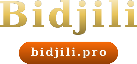 Bidjili logo